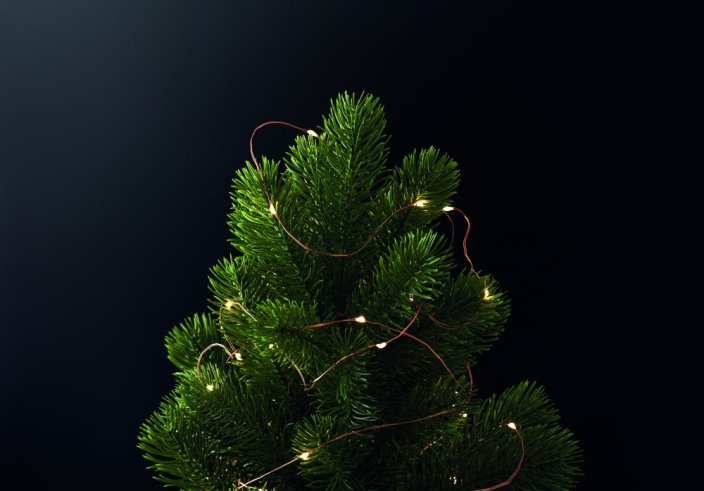 Řetěz LED světel 5 m