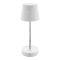 Cosmopolitan Stolová lampa RABS