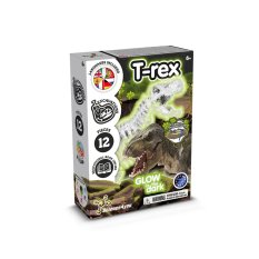 Vzdělávací sada pro vykopání fosílie T-rexe