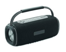 Reproduktor 2x10W