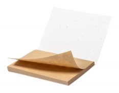 Semeno Note poznámkový blok so semienkami