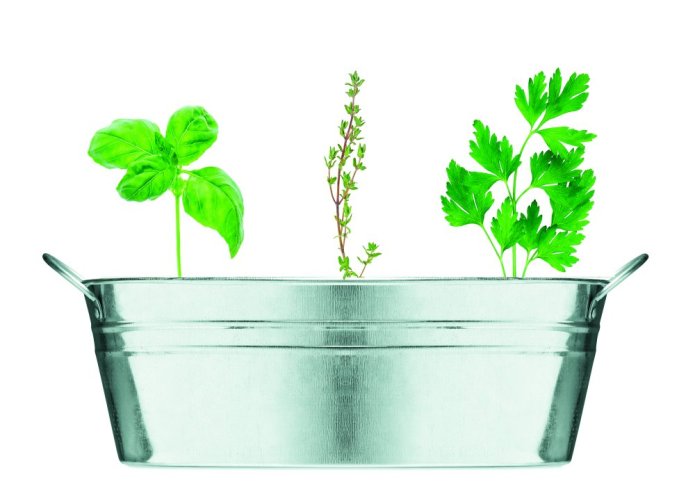 Vanička se semínky bylinek